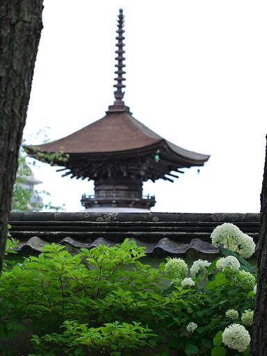 アナベル