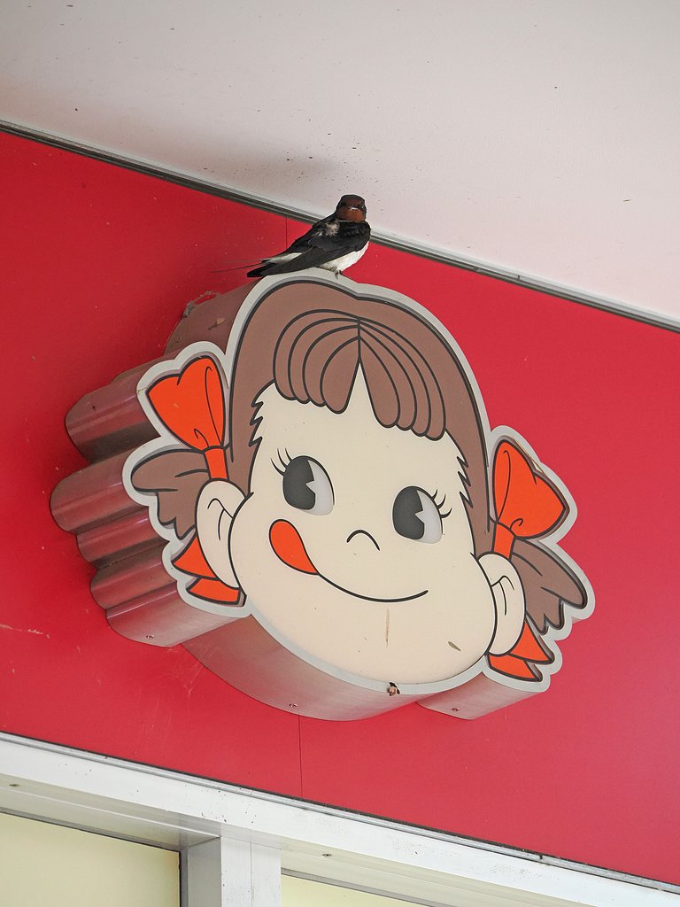 ぺこちゃんツバメ