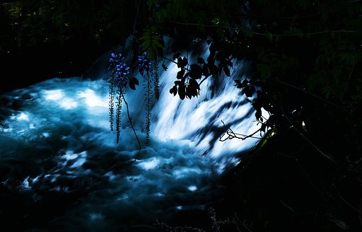 bluemoment