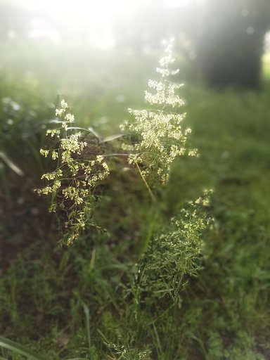 4月28日の写真