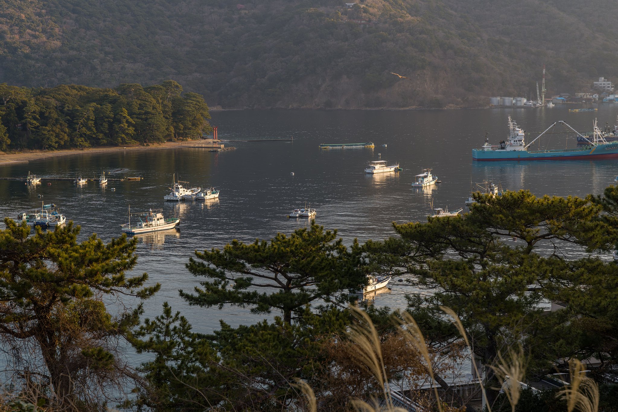 朝陽を浴びて