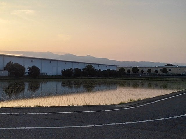 映り込みが綺麗な夕方の水田