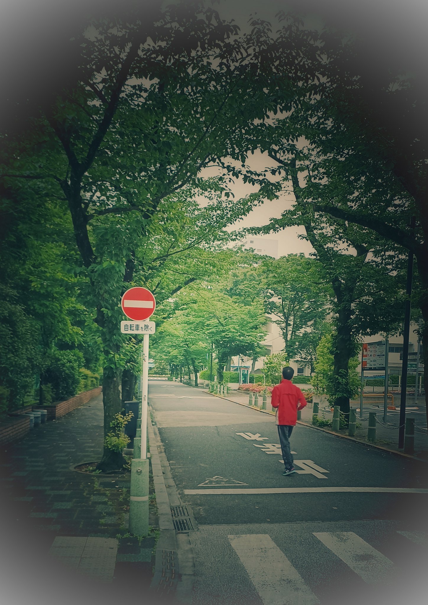 レッド