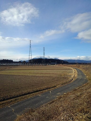 12月28日の写真