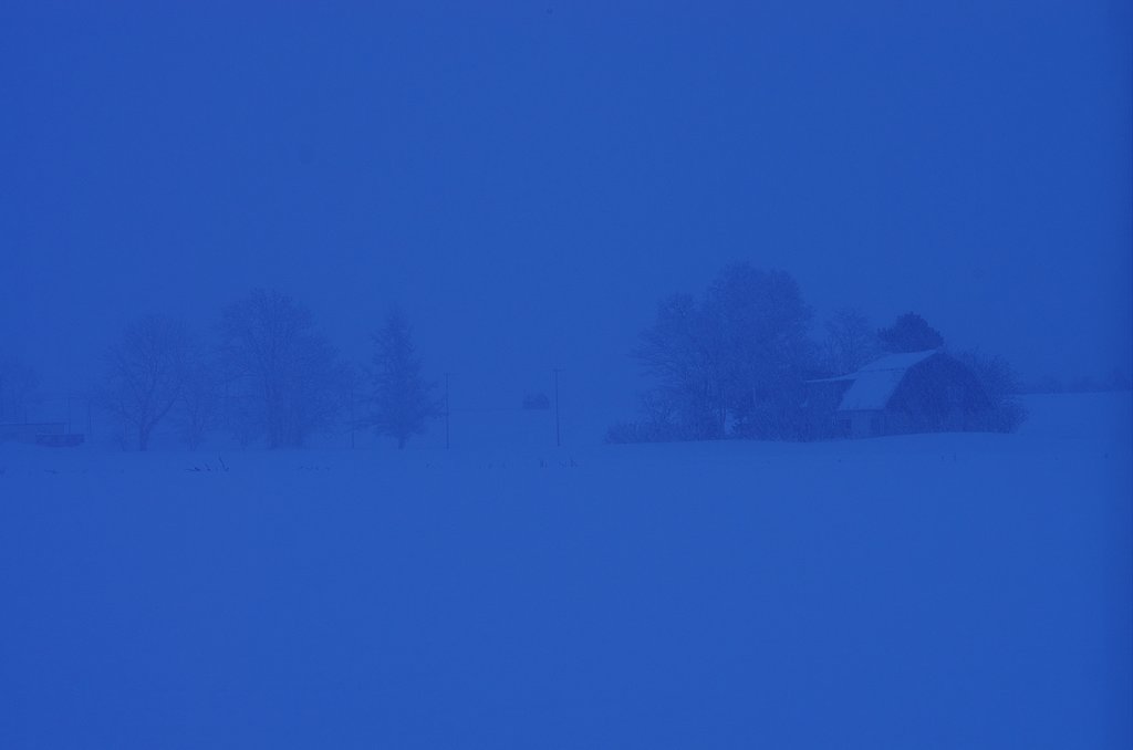 雪降りしきる朝