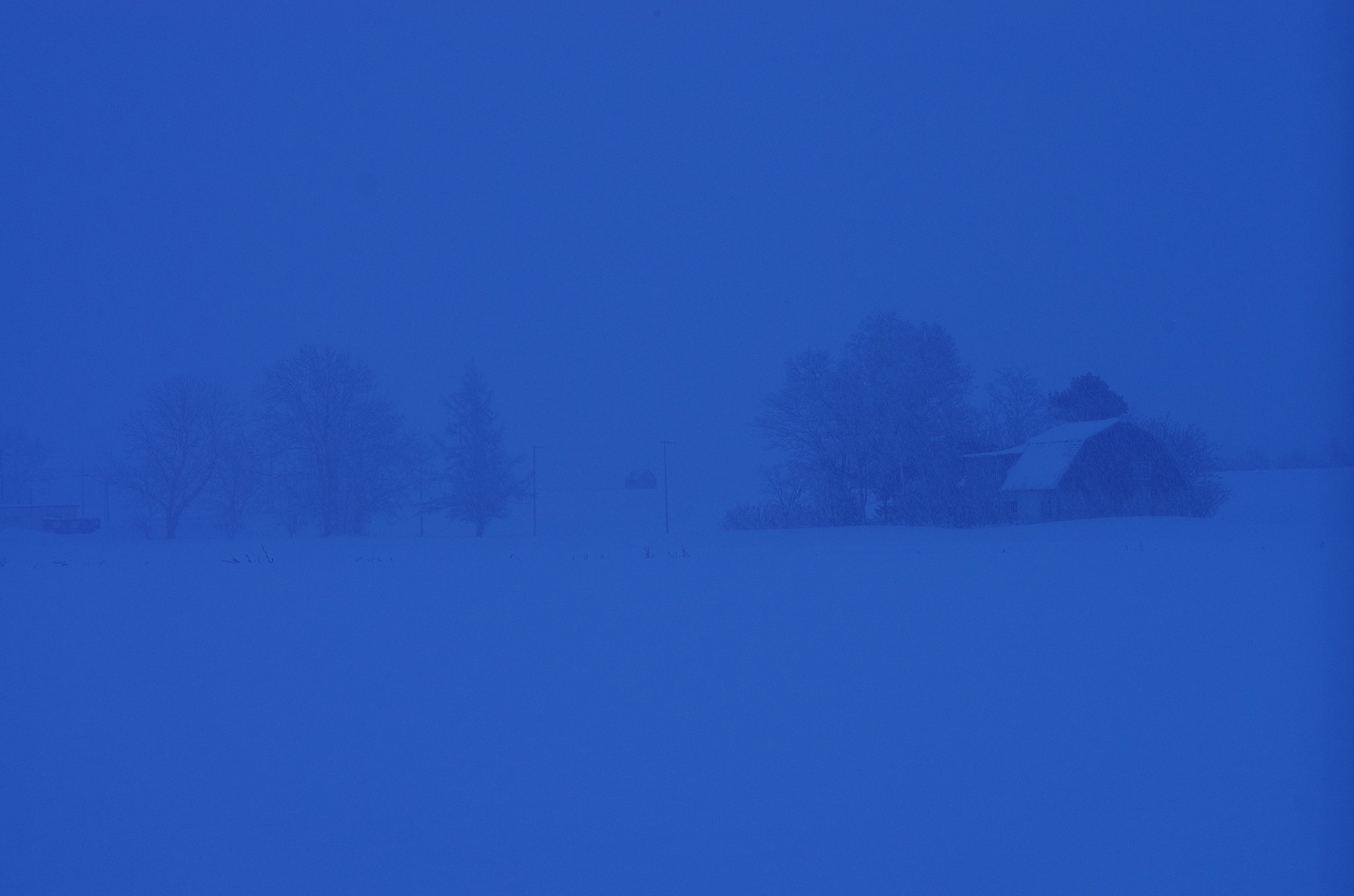 雪降りしきる朝