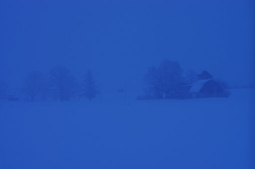 雪降りしきる朝