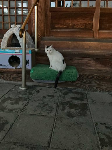 しらねぇこ