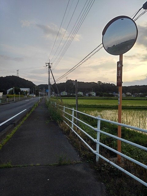 カーブミラーに映り込む景色