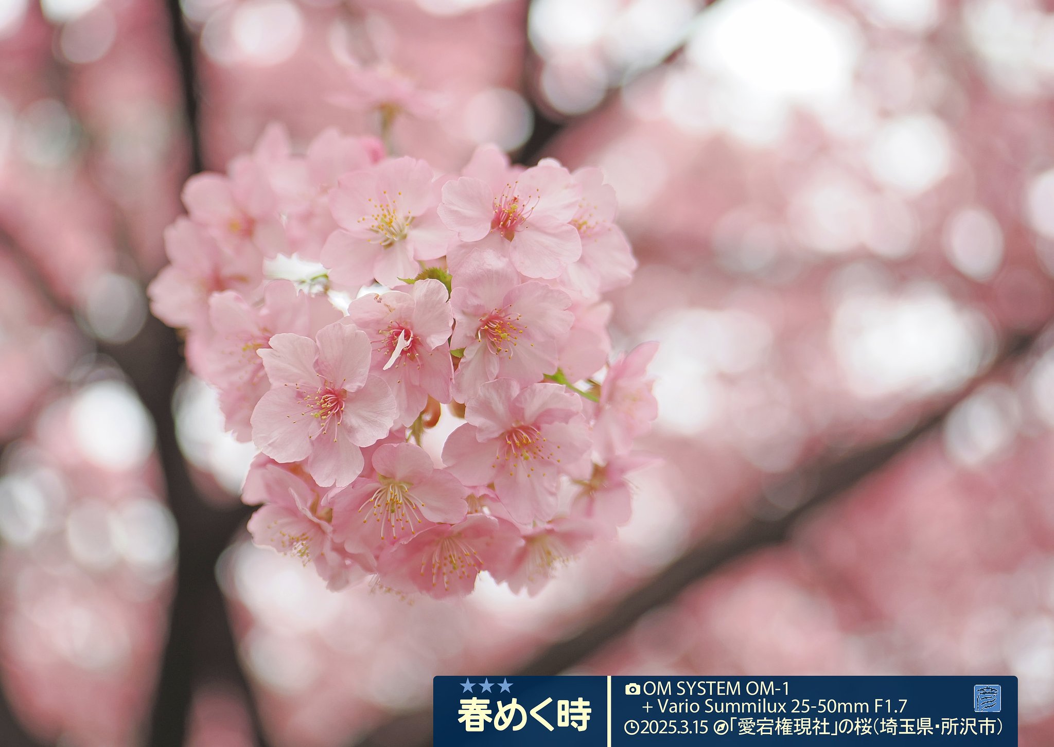 春めく時