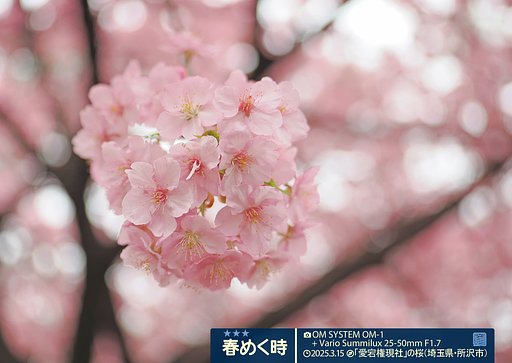 春めく時