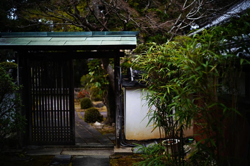 黒竹