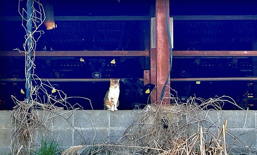 3月22日の写真