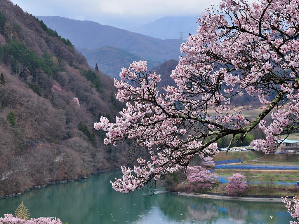 池のほとりの