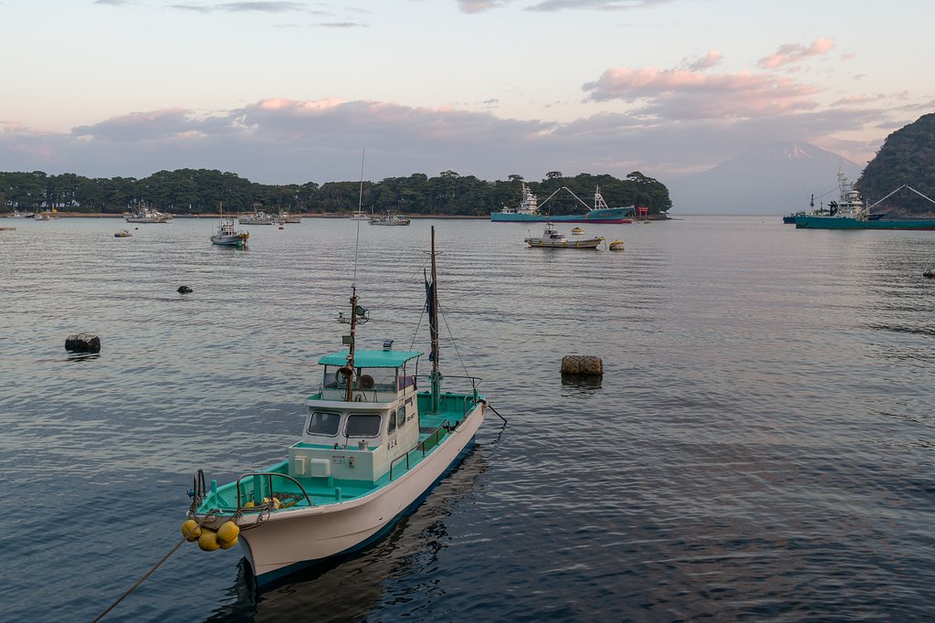 戸田（へだ）港の朝