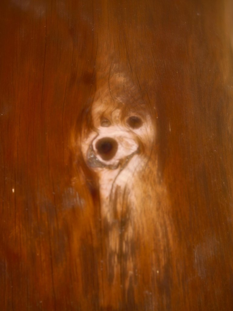 擬態