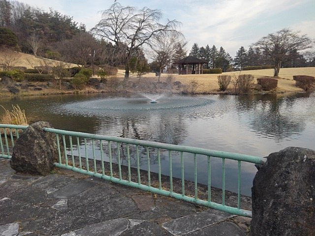 散歩したくなる池の岸辺