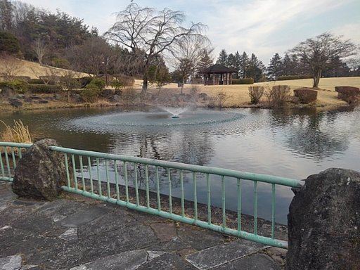 散歩したくなる池の岸辺