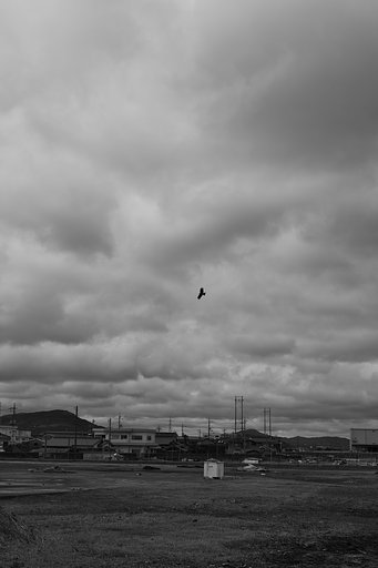 3月5日の写真