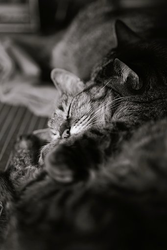 3月21日の写真