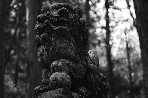 3月29日の写真