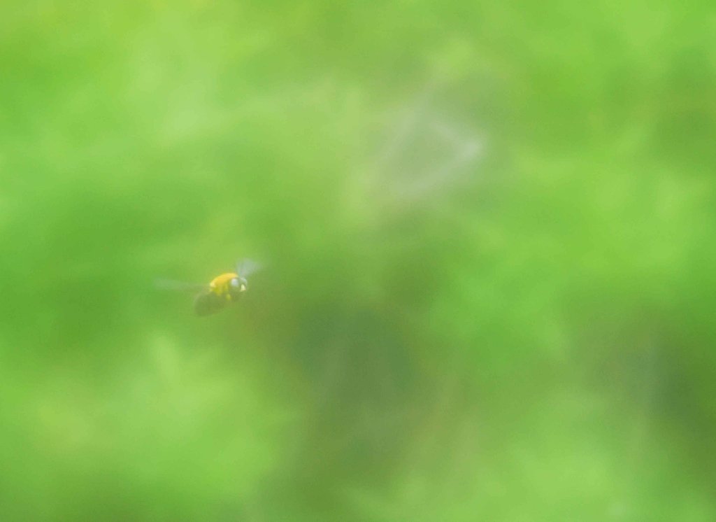 暗中模索２
