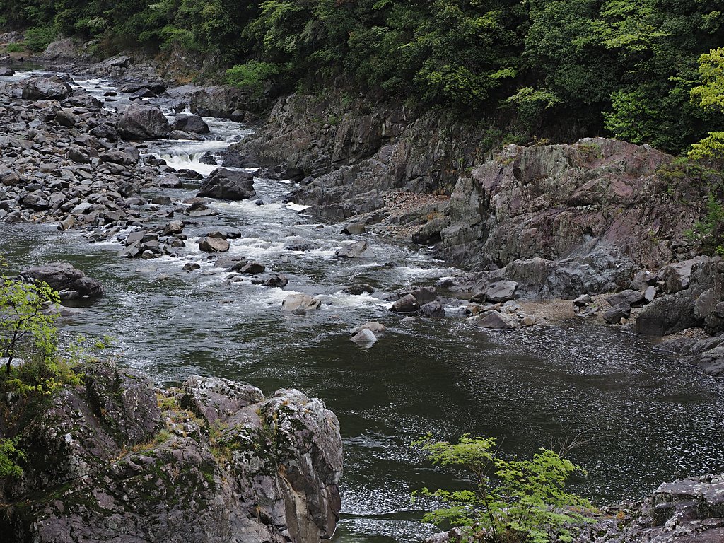 渓流の風景