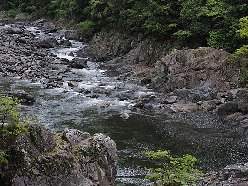 渓流の風景