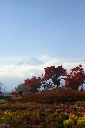 富士山