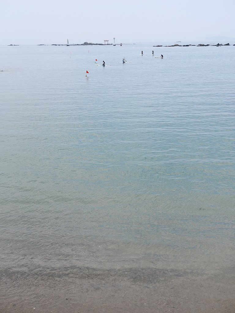 白い夏