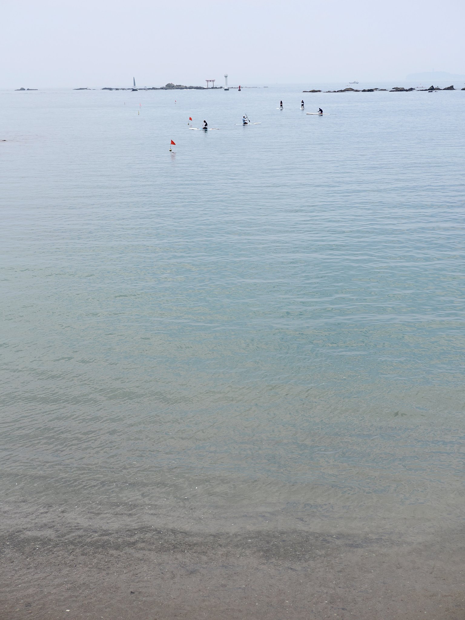 白い夏