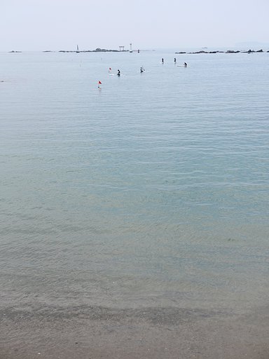 白い夏