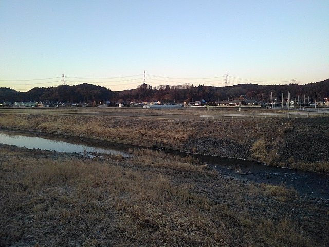 豊かな緑の岸辺と土手