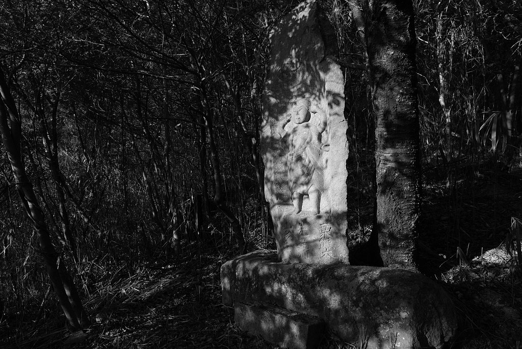 贅沢