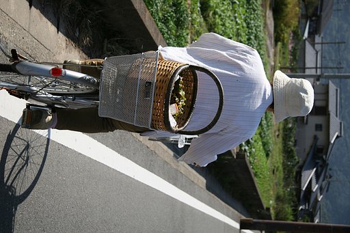 【50】母の姿