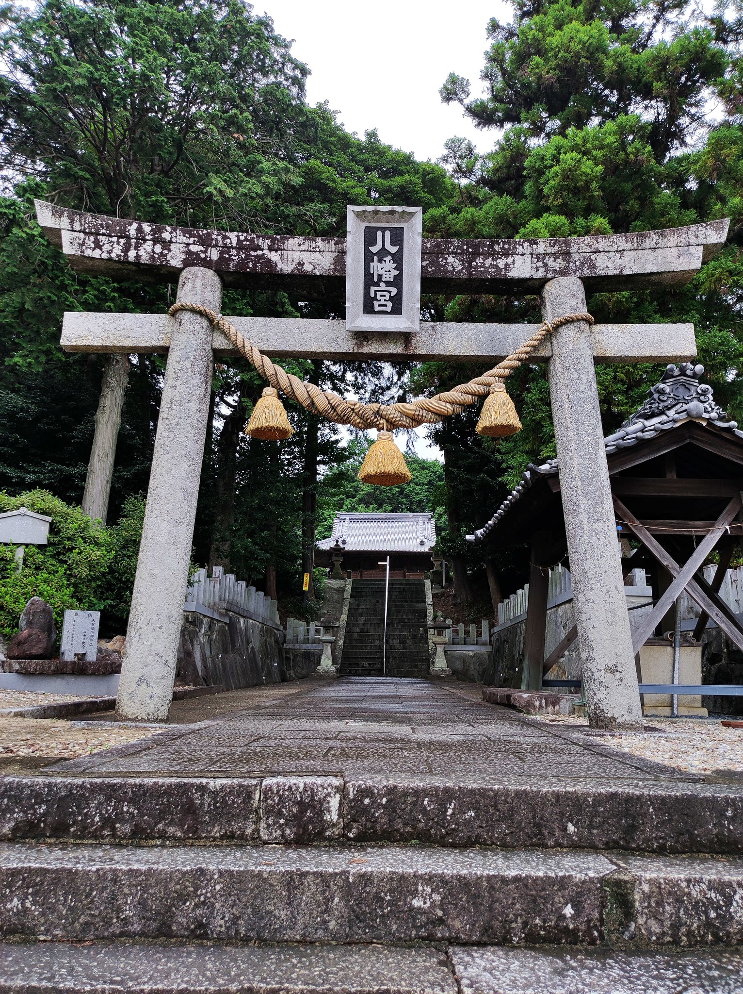 八幡繋がりで