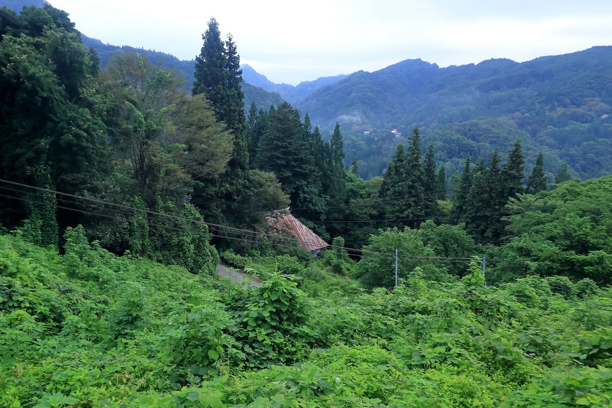 峠から望む