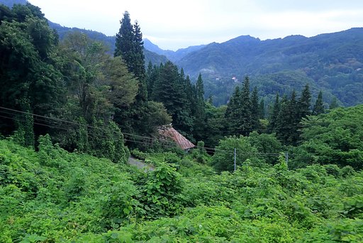 峠から望む