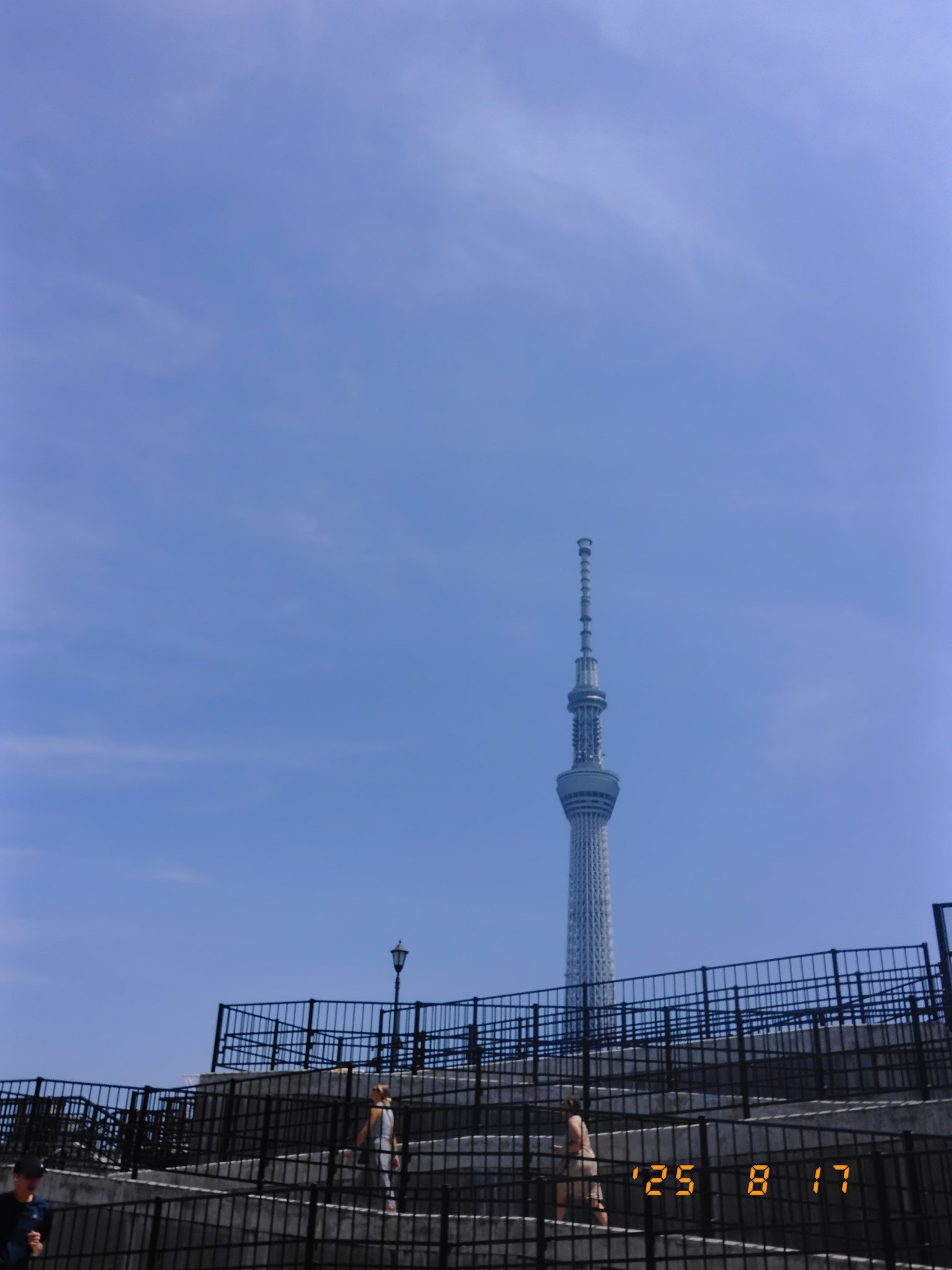 大樹のふもと