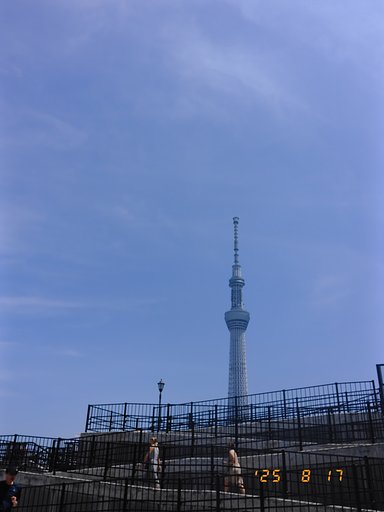 大樹のふもと