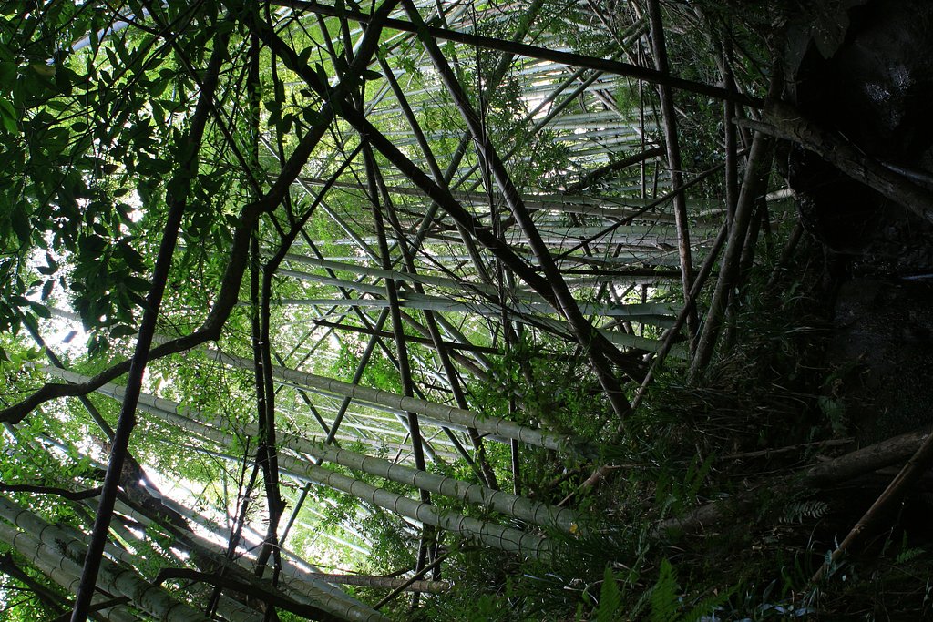 荒廃した空間
