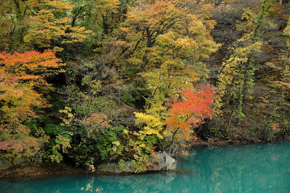 ダム湖の紅葉Part.2 その一