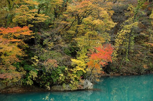 ダム湖の紅葉Part.2 その一