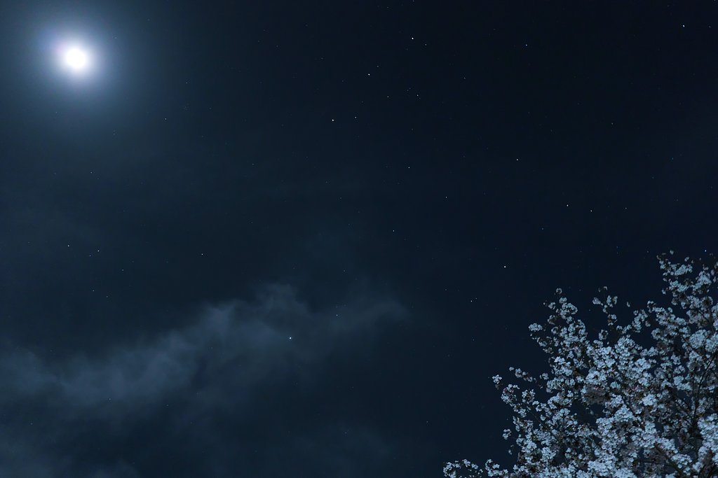 月夜