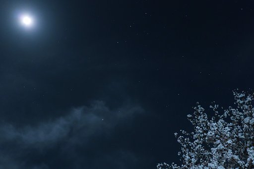 月夜