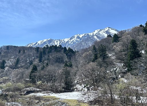 残雪