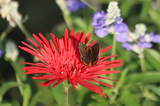 10月1日の写真
