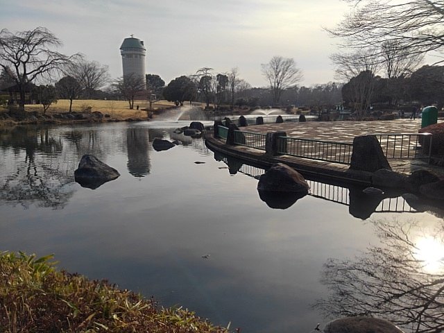 水面が美しい那須野が原公園の池