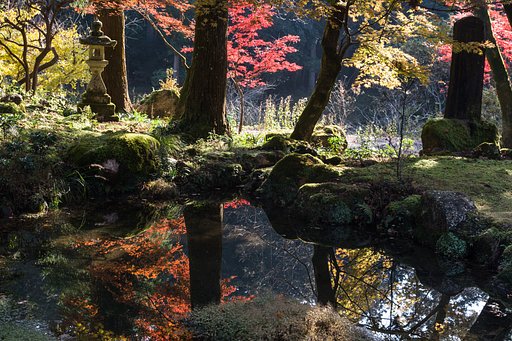 鏡面の秋Ⅱ