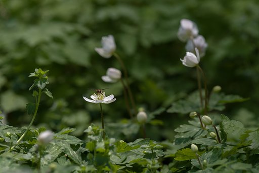 目が合った